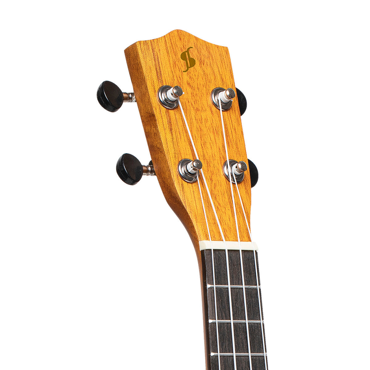 headstock