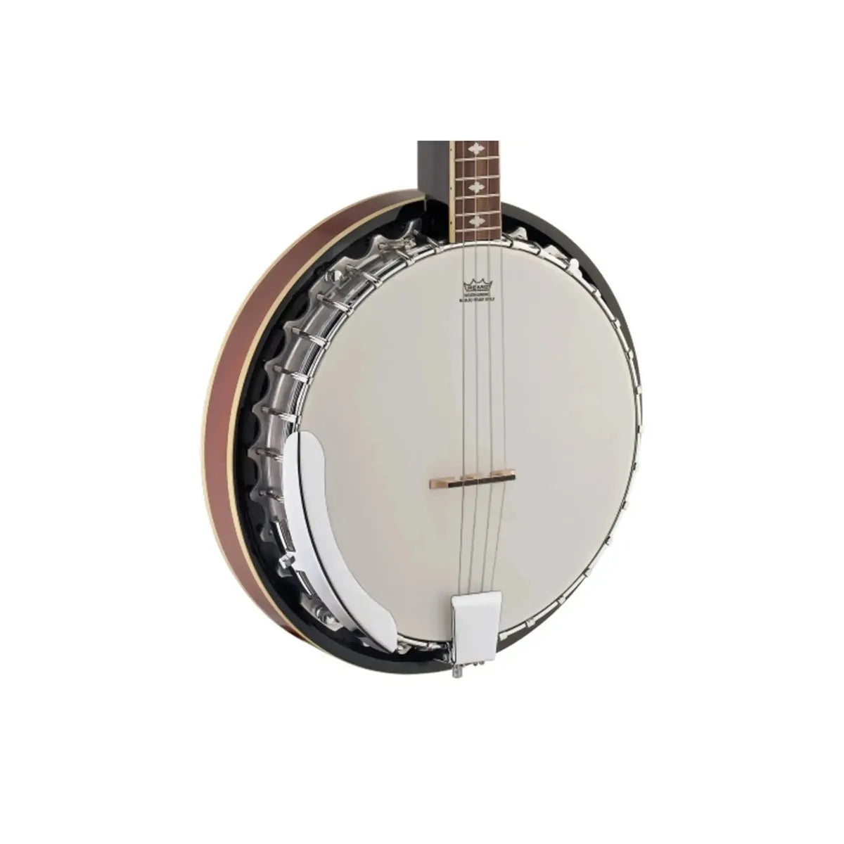 Stagg-4-String-Bluegrass-Banjo1 | Terry Carter Music Store