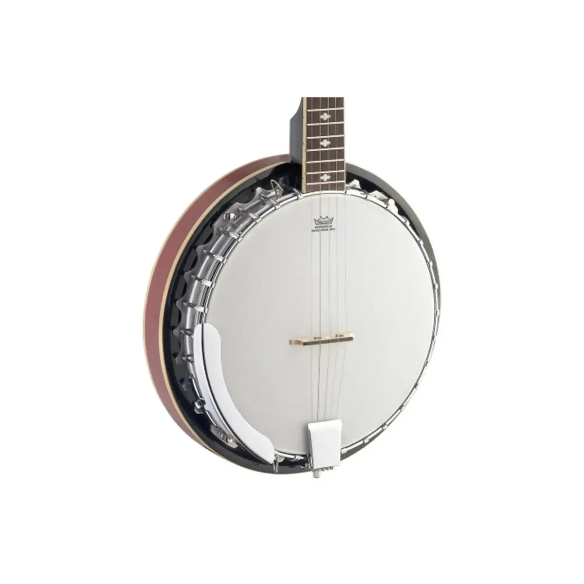 Stagg-5-string-Bluegrass-Banjo2 | Terry Carter Music Store