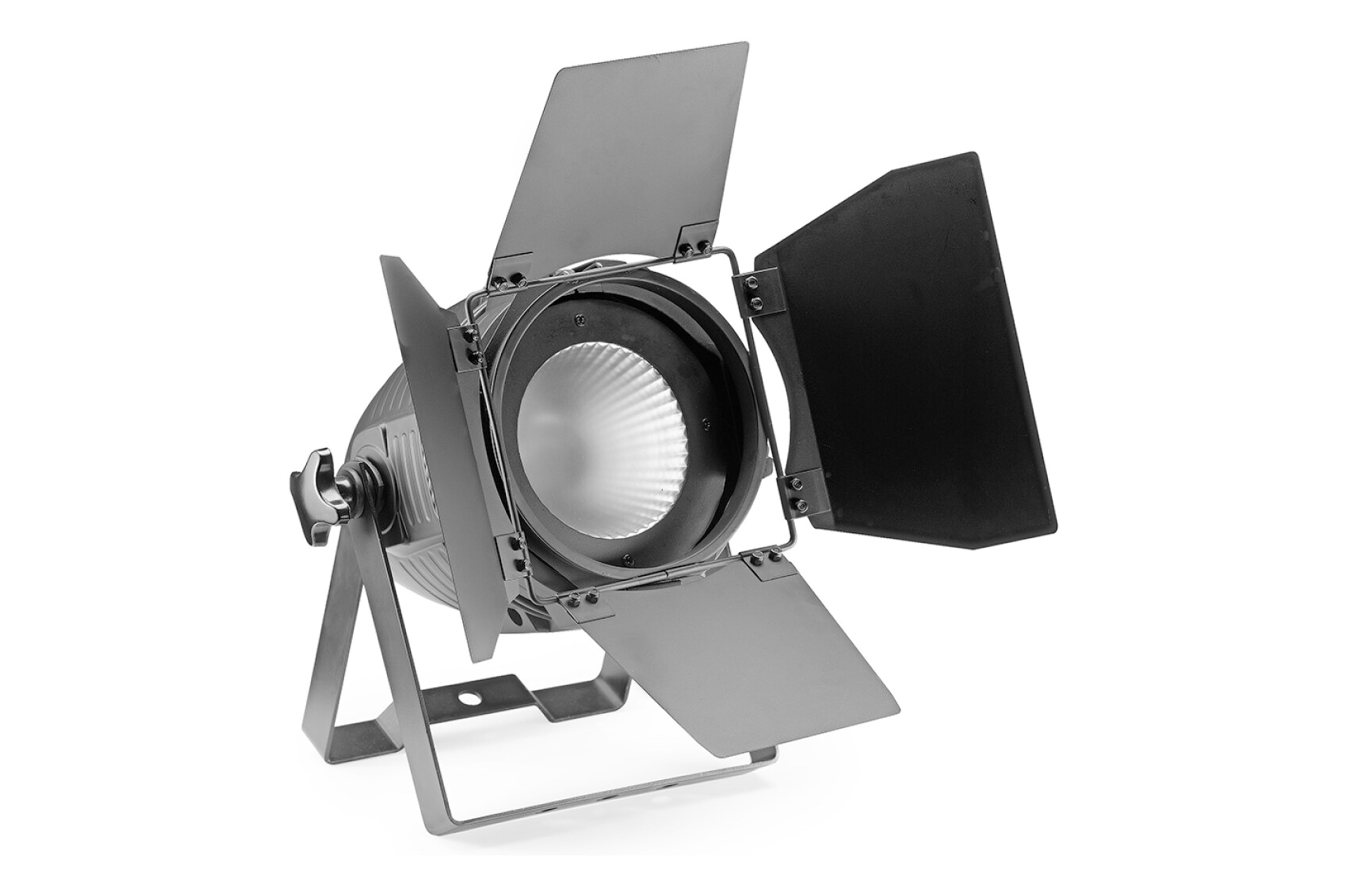 Stagg King PAR 60 LED Spotlight