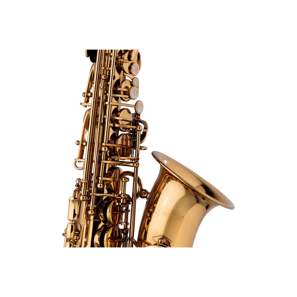 Stagg-LV-AS4105-Alto-Saxophone-3 | Terry Carter Music Store