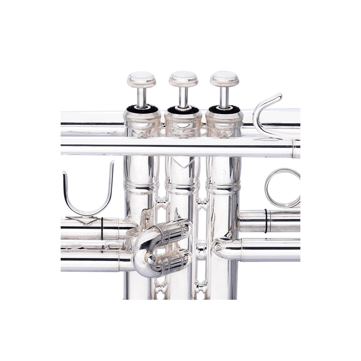 Stagg-LV-TR6301-Bb-Trumpet-3 | Terry Carter Music Store