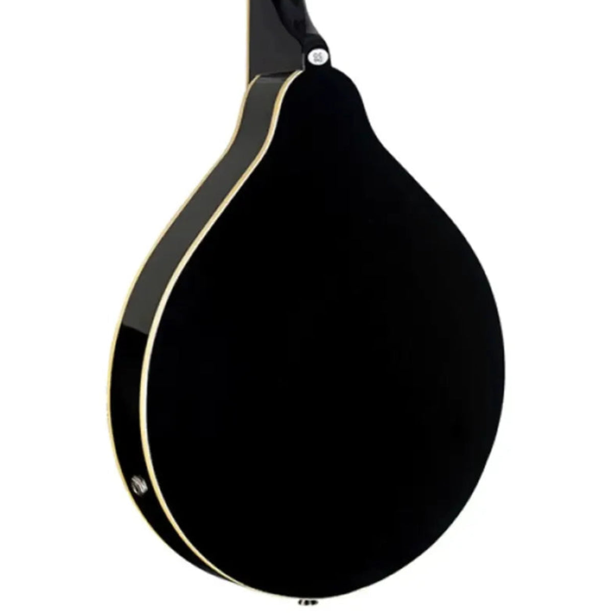Stagg-M50-E-BLK4 | Terry Carter Music Store