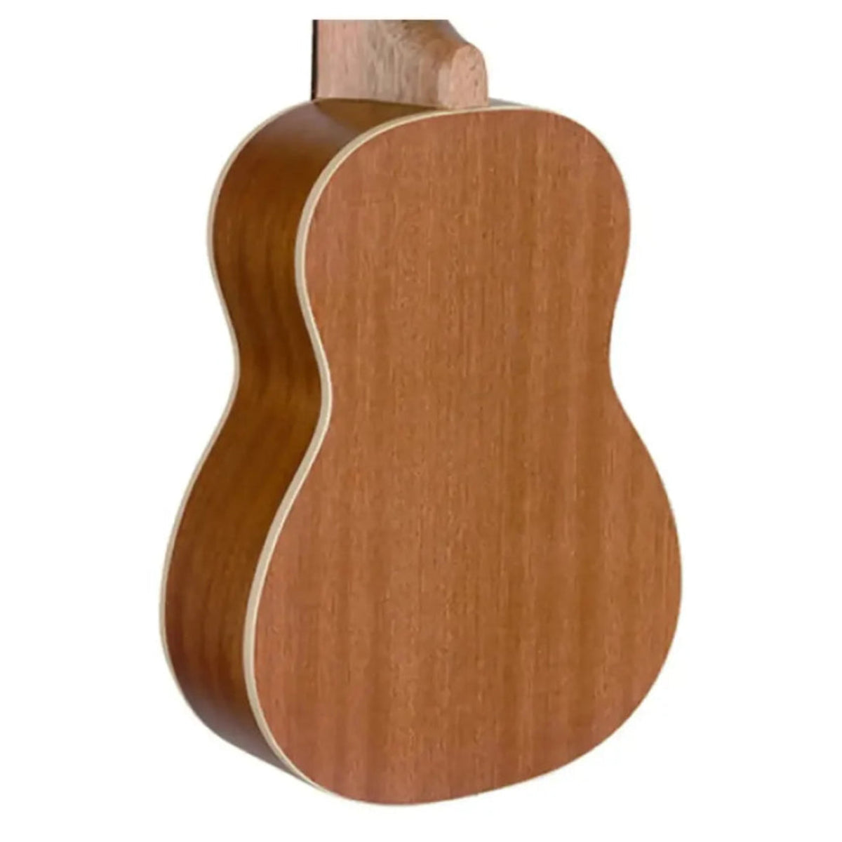 Stagg-UC-30-Sapele-Concert-Ukulele1 | Terry Carter Music Store