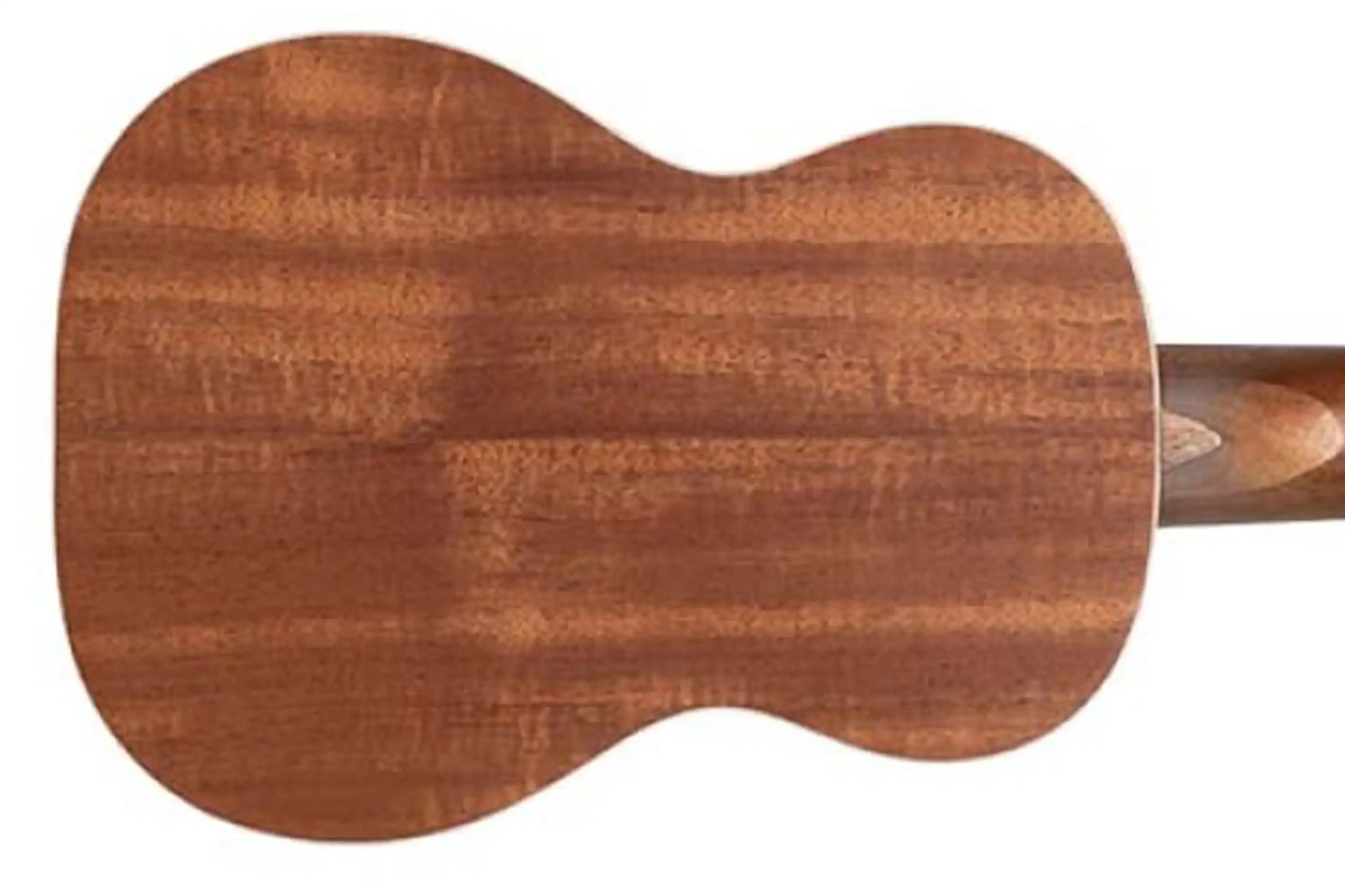 Stagg-UC-30-Spruce-Top-Soprano-Ukulele1 | Terry Carter Music Store