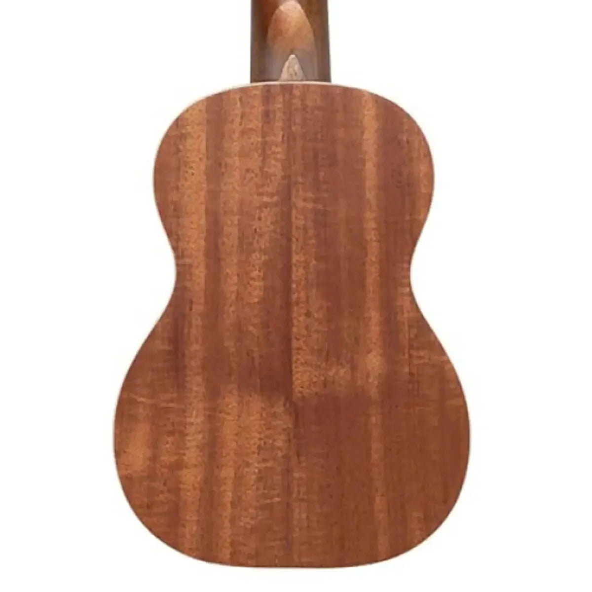 Stagg-UC-30-Spruce-Top-Soprano-Ukulele1 | Terry Carter Music Store