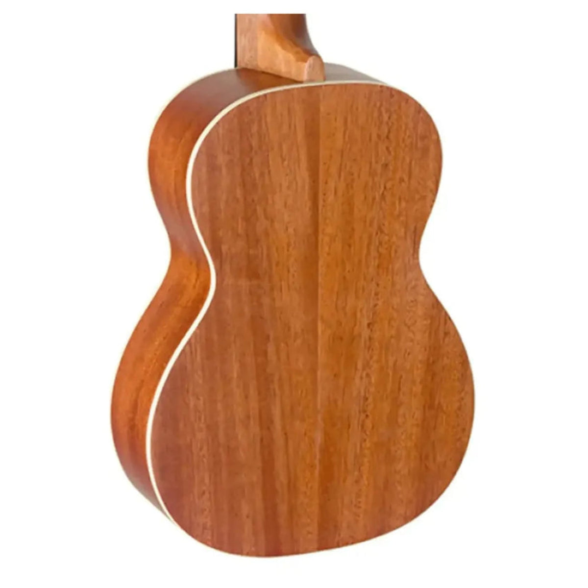 Stagg-UT-30-Sapele-Tenor-Ukulele1 | Terry Carter Music Store