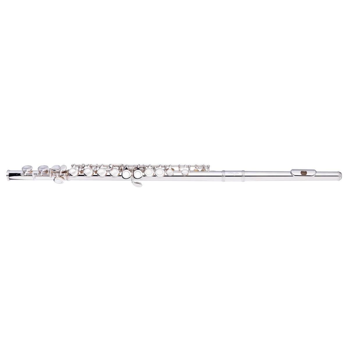 Stagg-WS-FL111-C-Flute-1 | Terry Carter Music Store