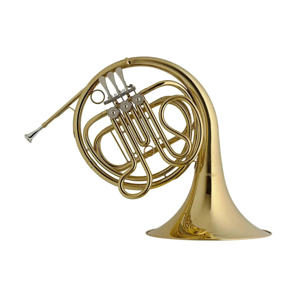 Stagg-WS-HR245-F-Horn1 | Terry Carter Music Store