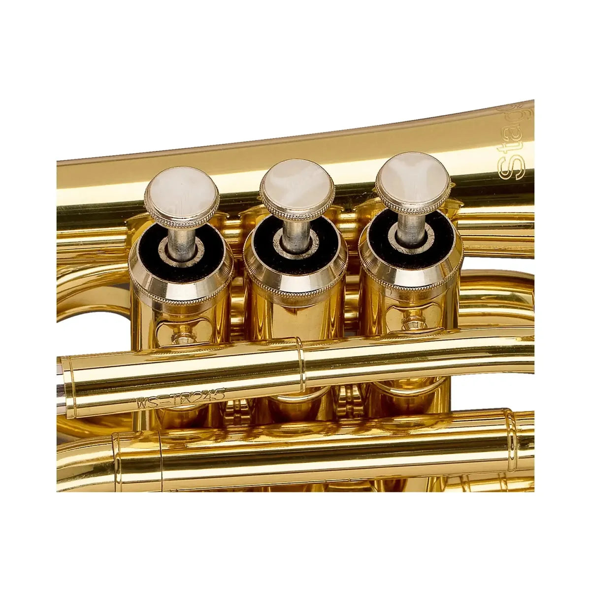 Stagg-WS-TR245S-Pocket-Trumpet-1 | Terry Carter Music Store