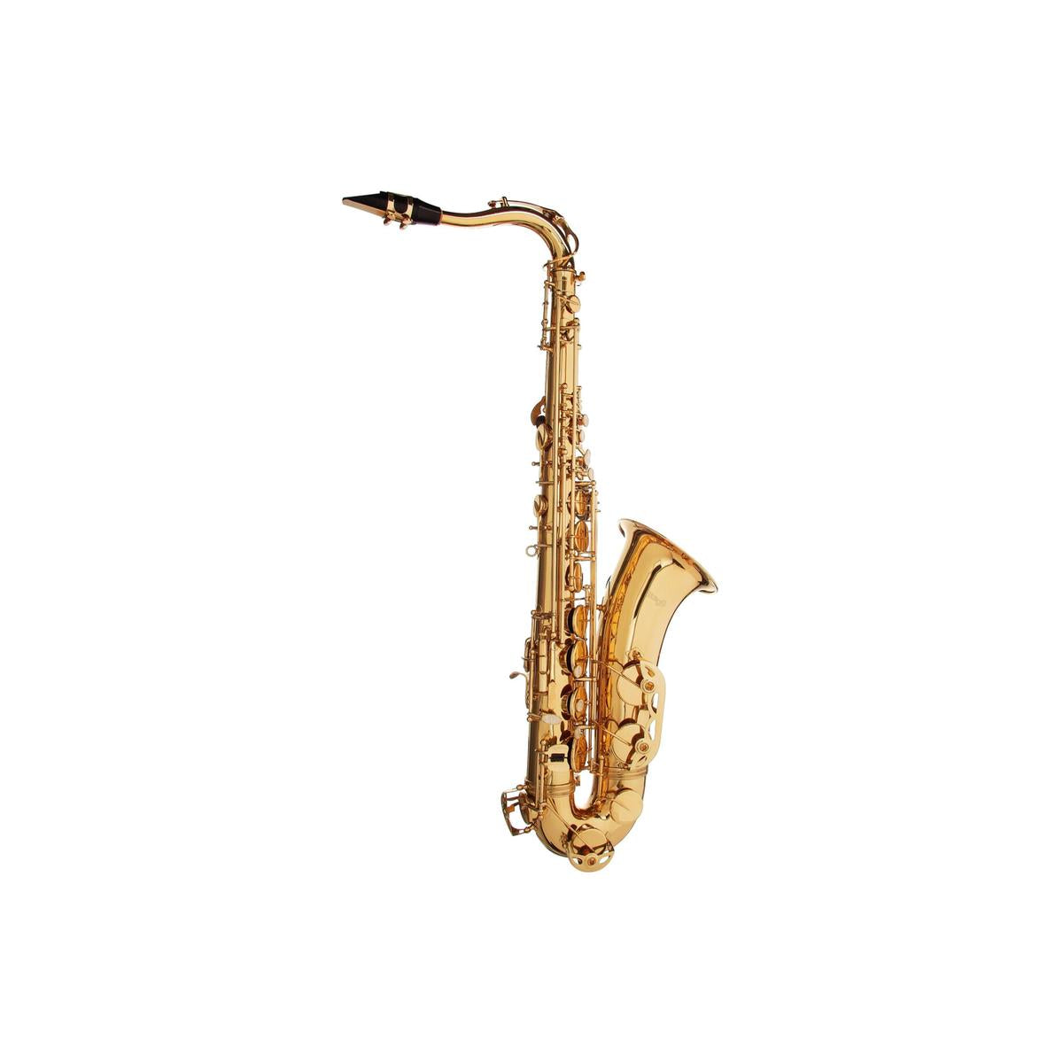Stagg-WS-TS215-Tenor-Saxophone-1 | Terry Carter Music Store