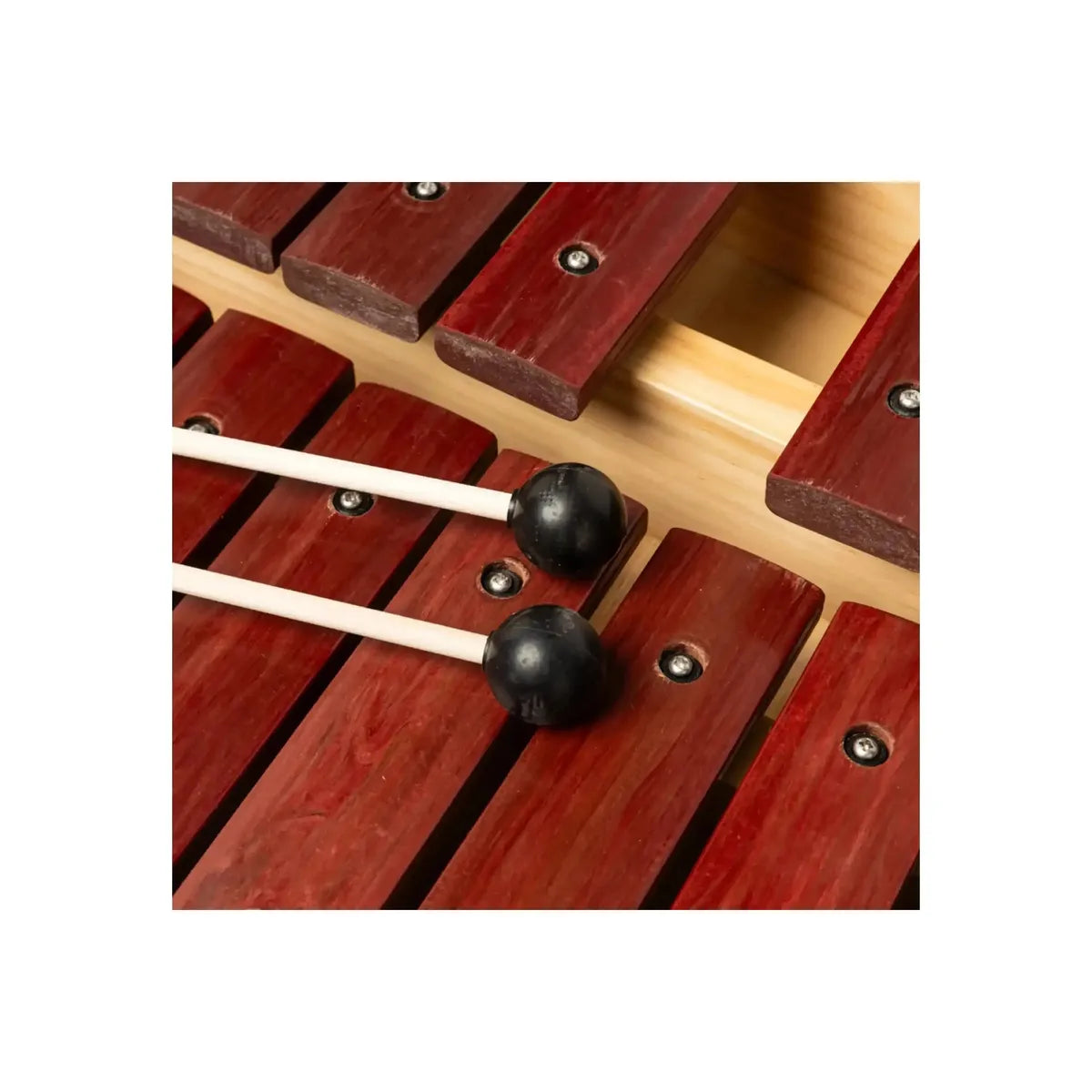 Stagg-XYLO-SET-37-SYN-Desktop-Synthetic-Xylophone6 | Terry Carter Music Store