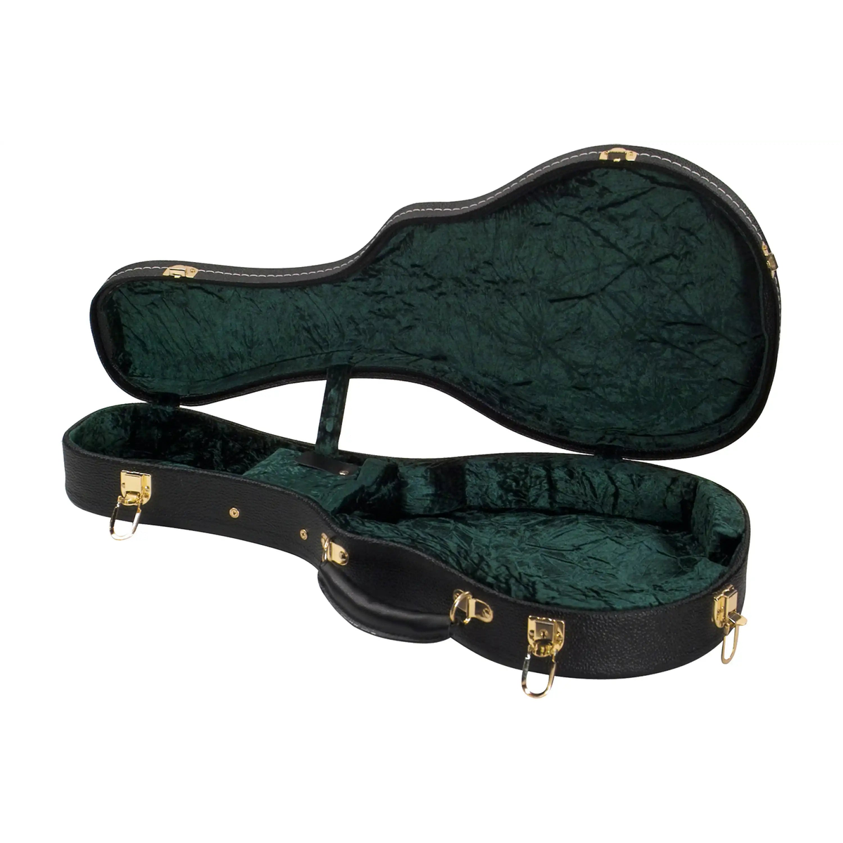 Superior-CD-1520-F-Model-Mandolin-Case1 | Terry Carter Music Store