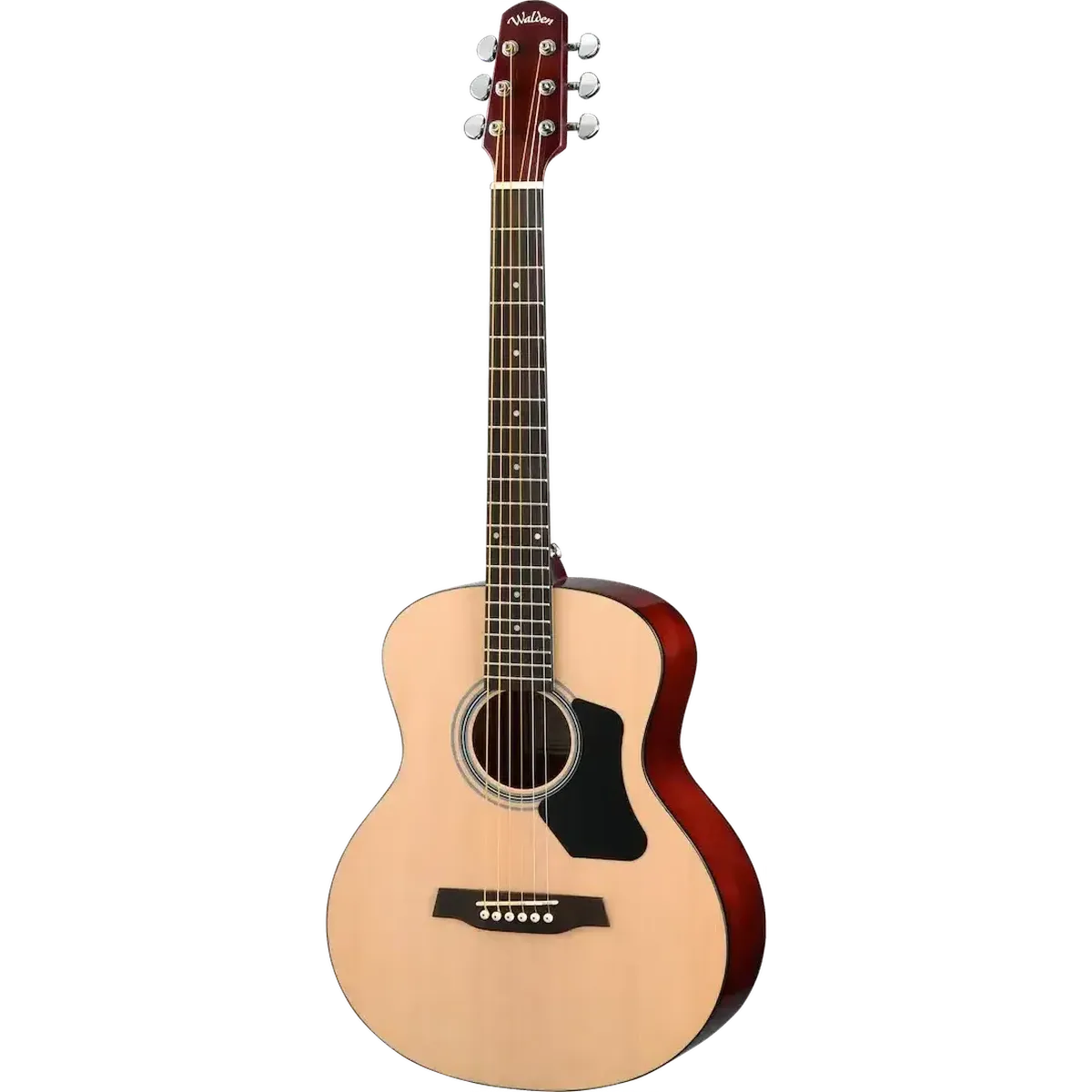 T350_front-PNG-1090x440-1 | Terry Carter Music Store