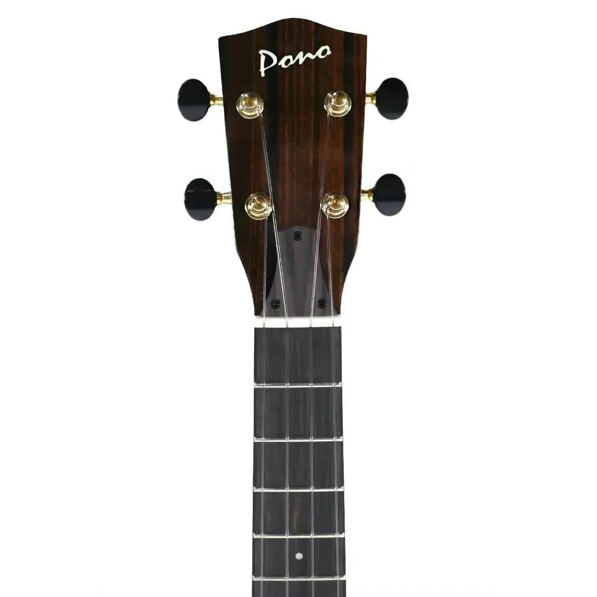 TE_MBD_2 | Terry Carter Music Store