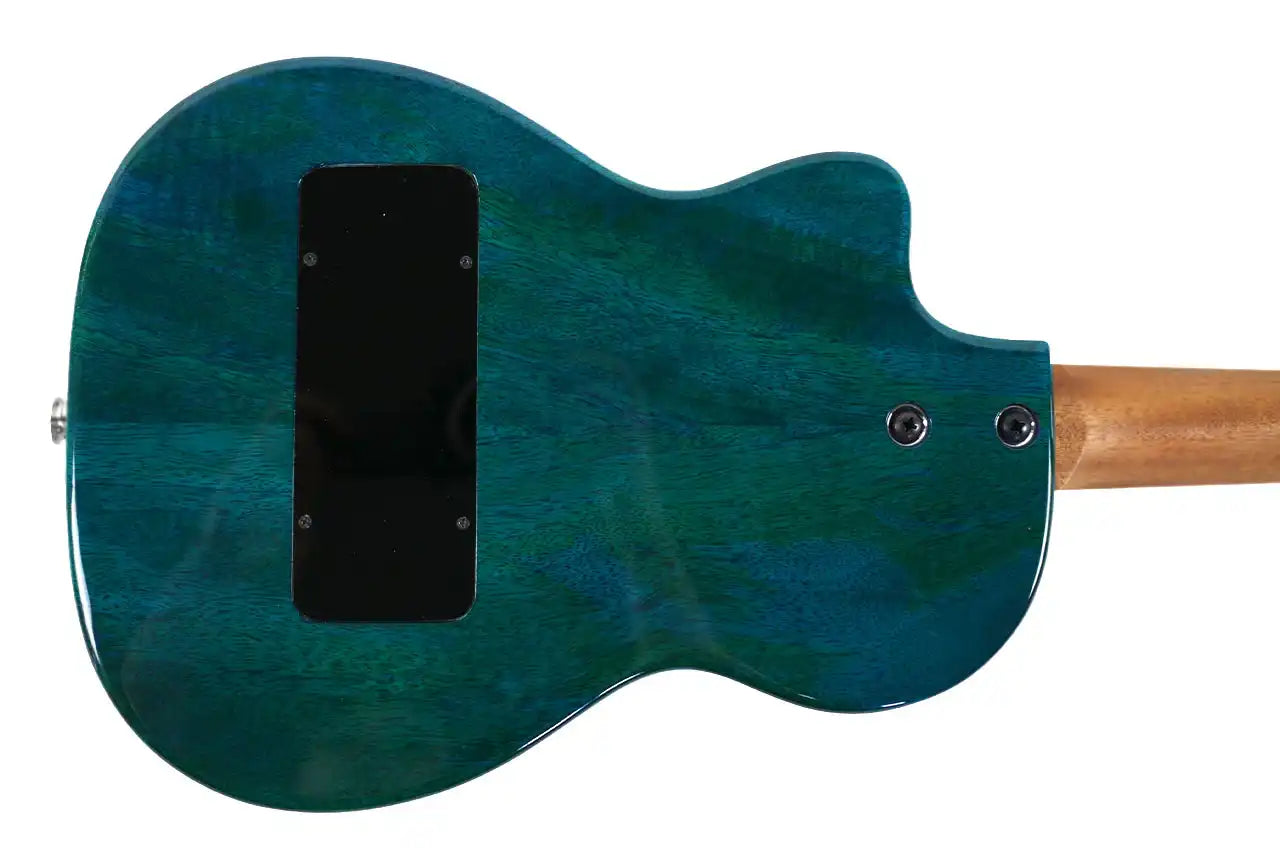 TE_MBD_3 | Terry Carter Music Store