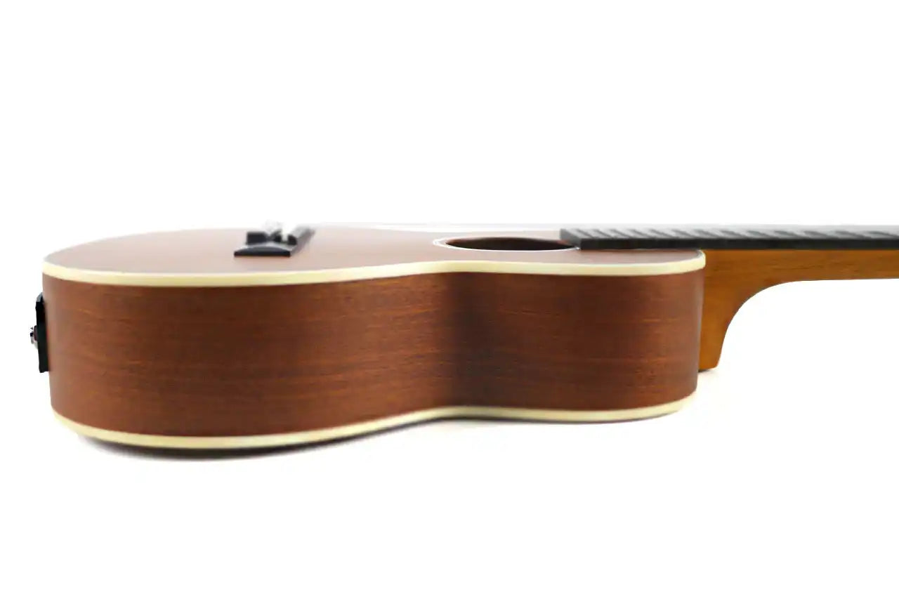 TKGL_20E_6 | Terry Carter Music Store