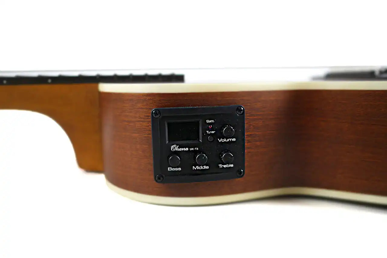 TKGL_20E_7 | Terry Carter Music Store