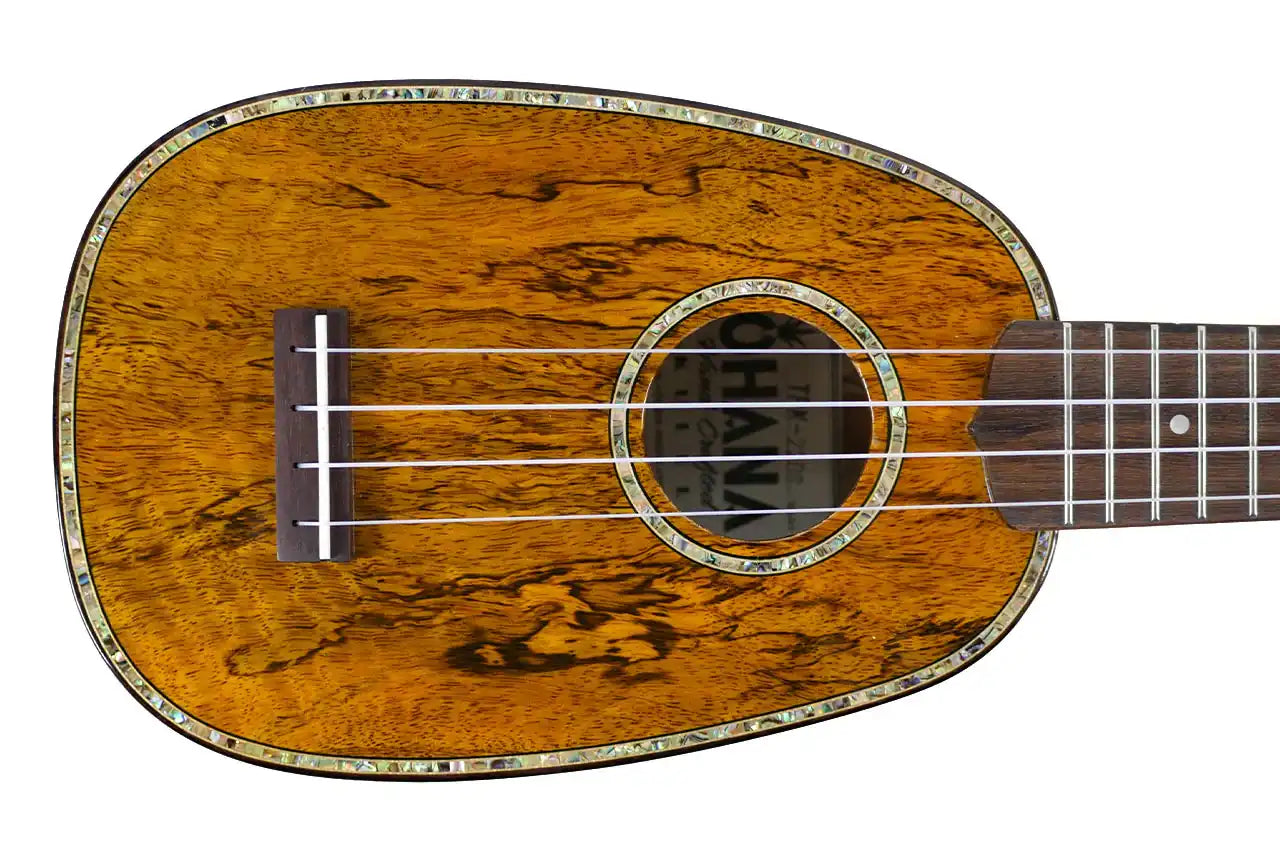 TPK_220G_1 | Terry Carter Music Store