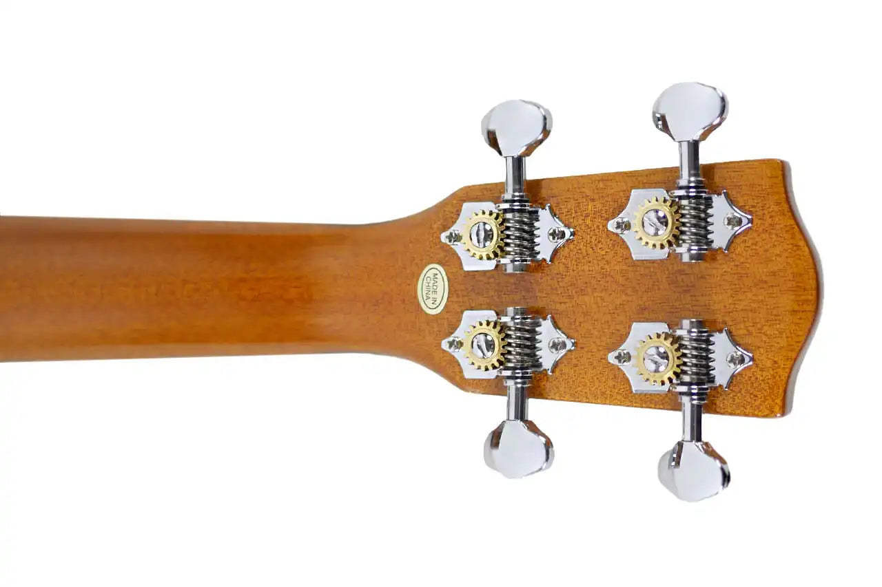 TPK_220G_4 | Terry Carter Music Store