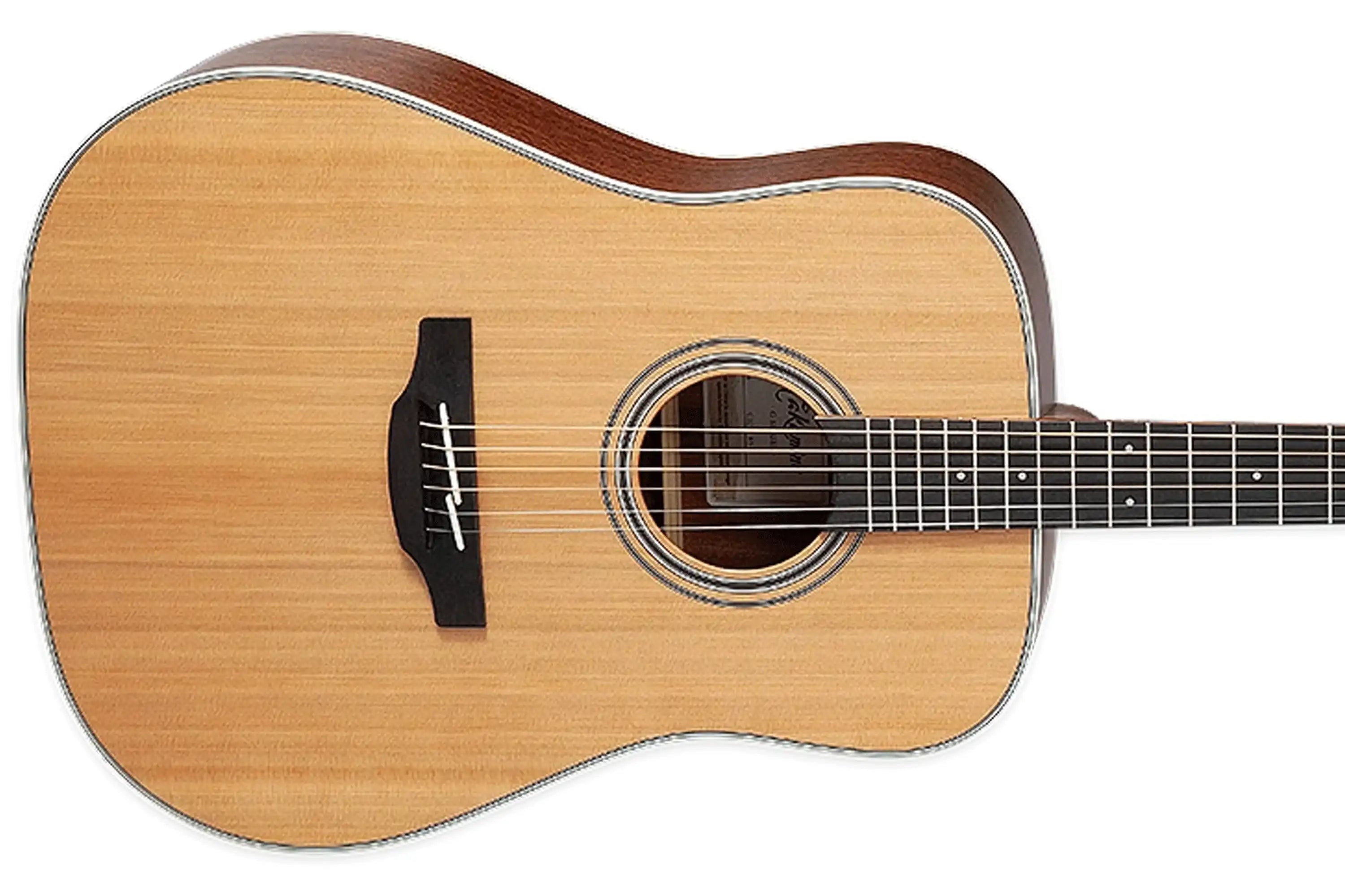 Takamine GD20 NS