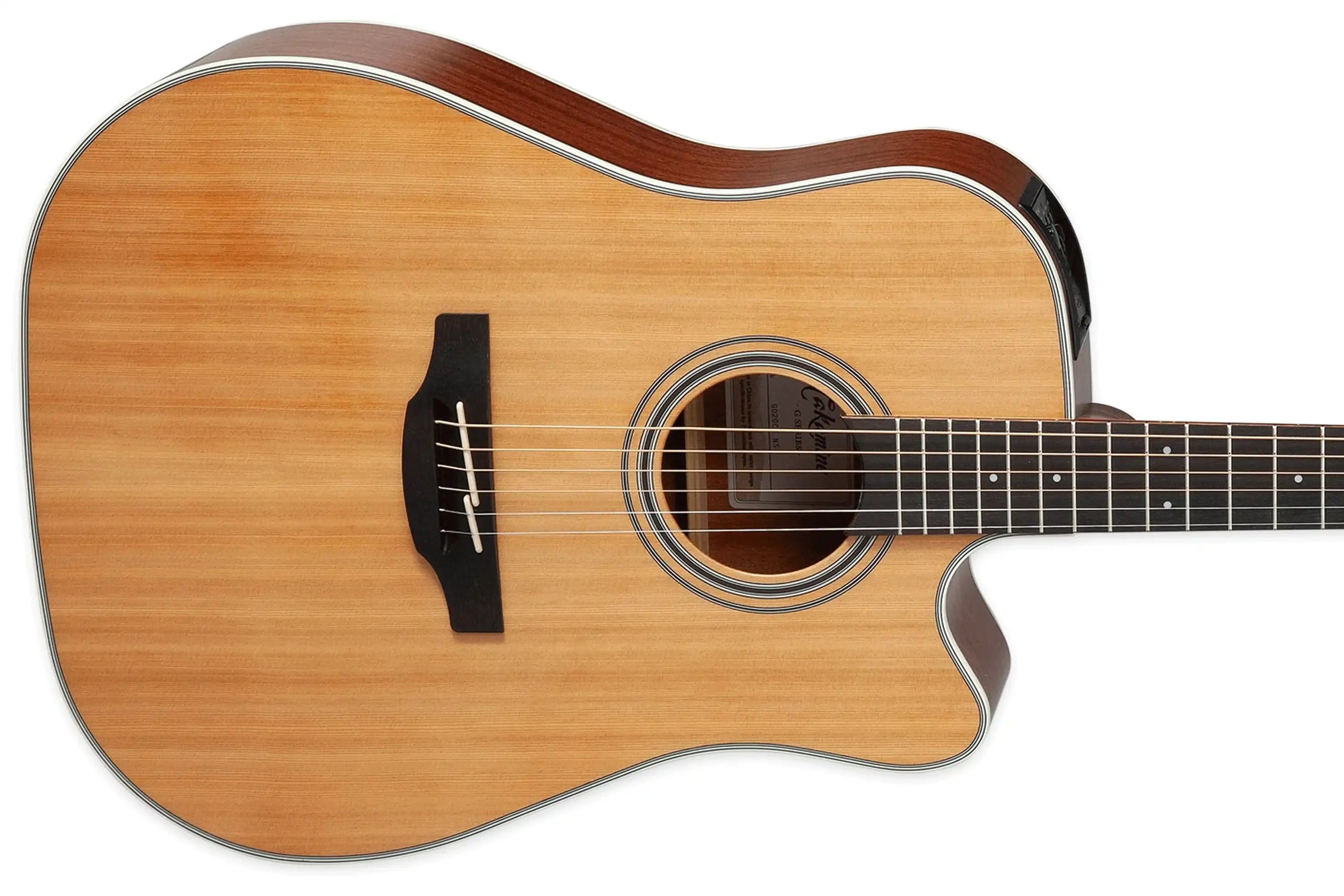 Takamine GD20CE NS