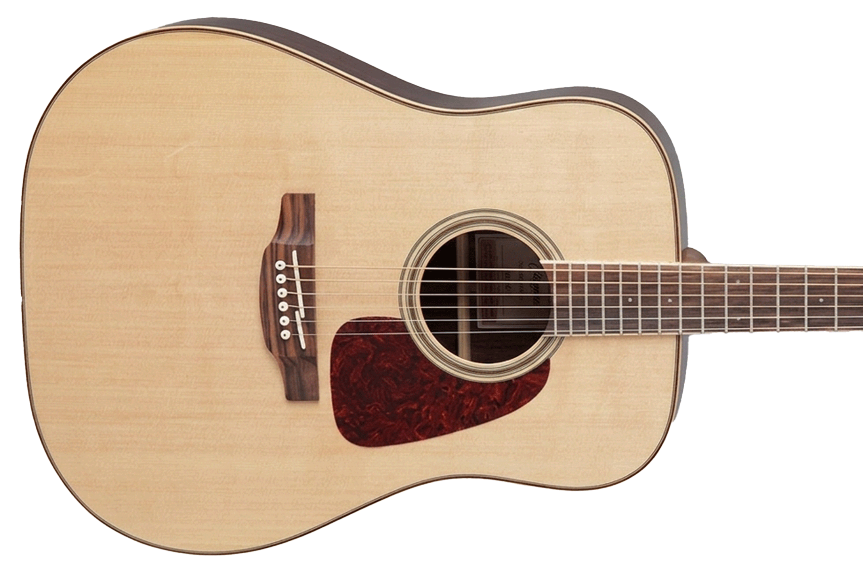 Takamine GD93 NAT