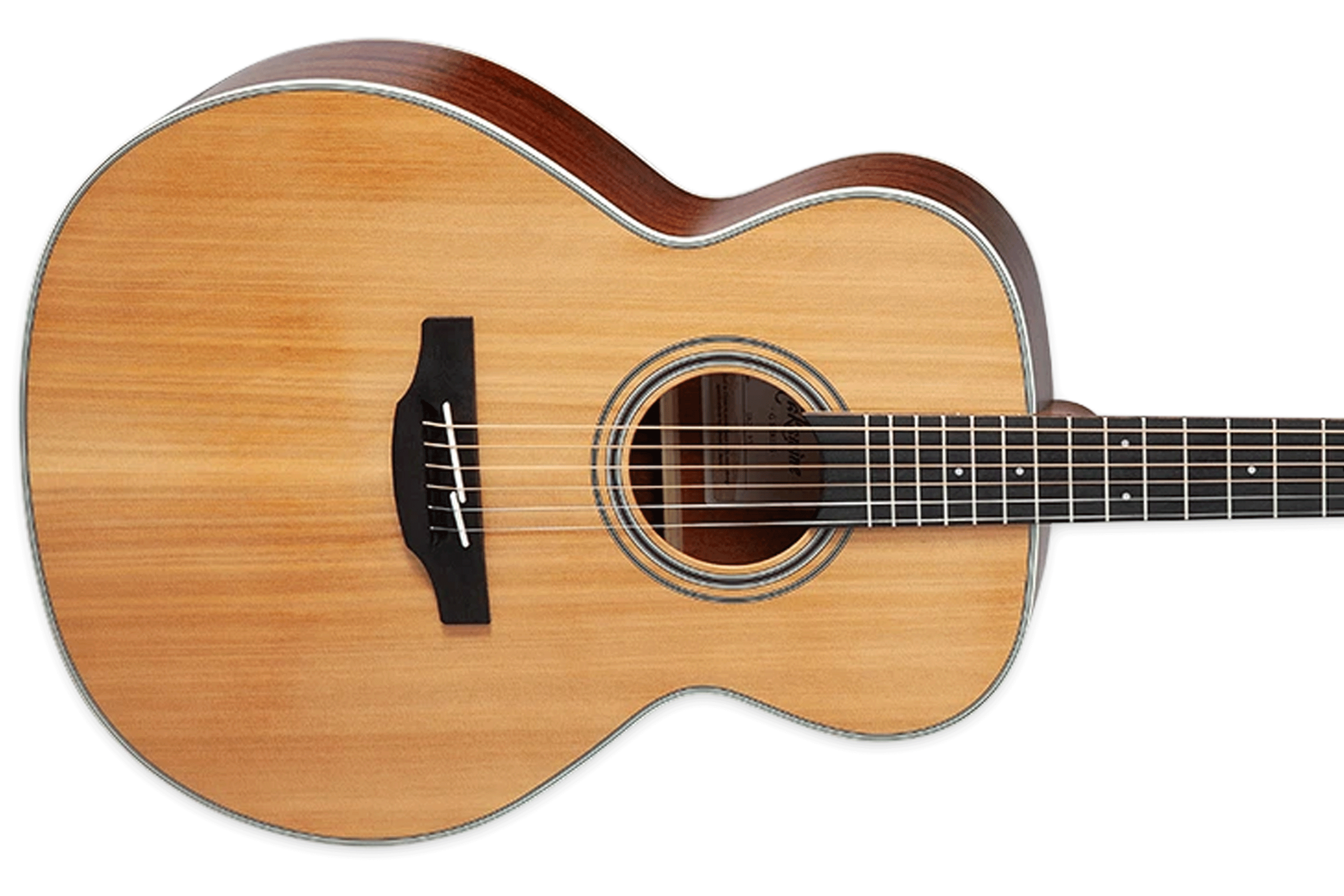 Takamine GN20 NS