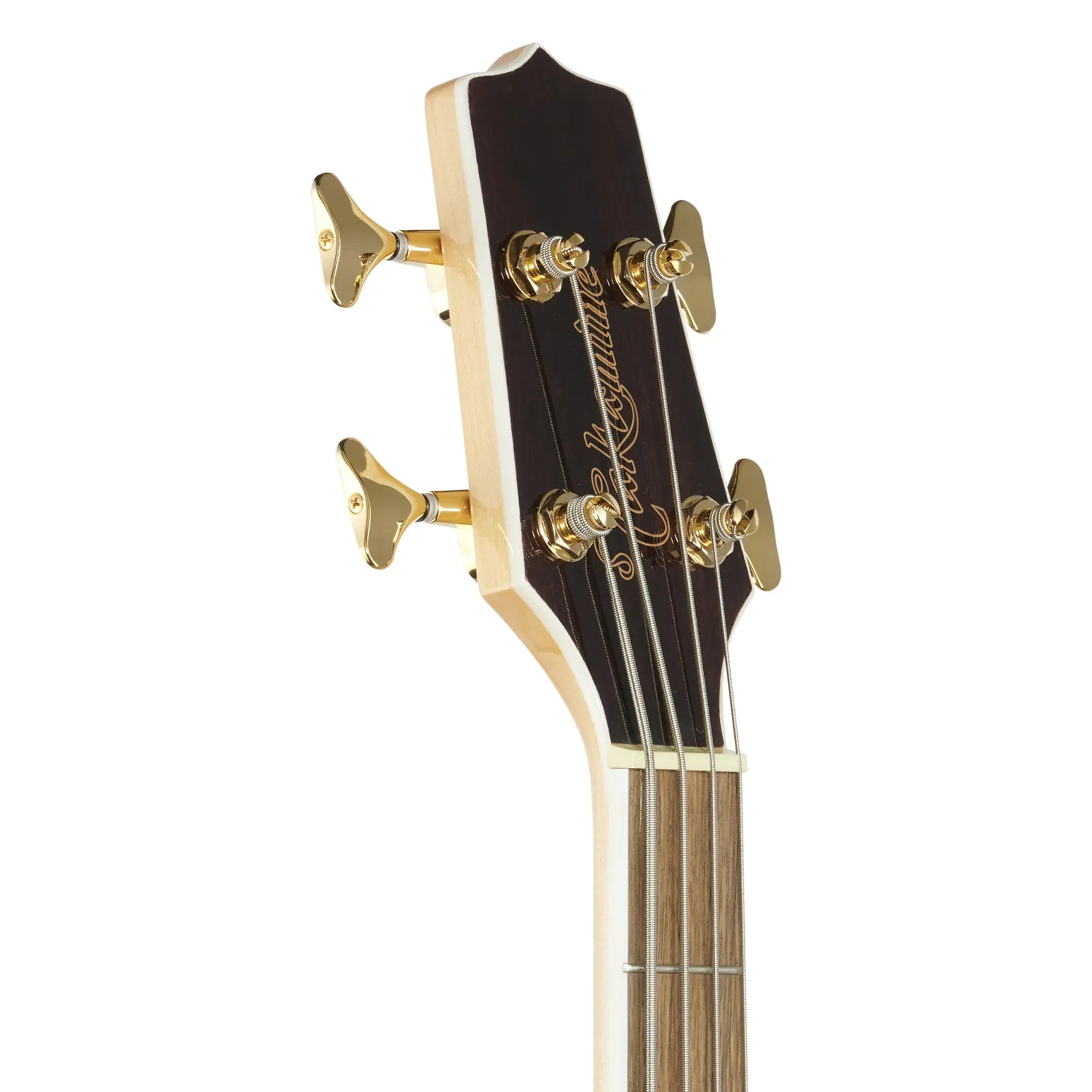 Close-up of the headstock of a Takamine bass guitar, showing the dark brown wood, gold tuning pegs, and gold Fender logo on a white background.