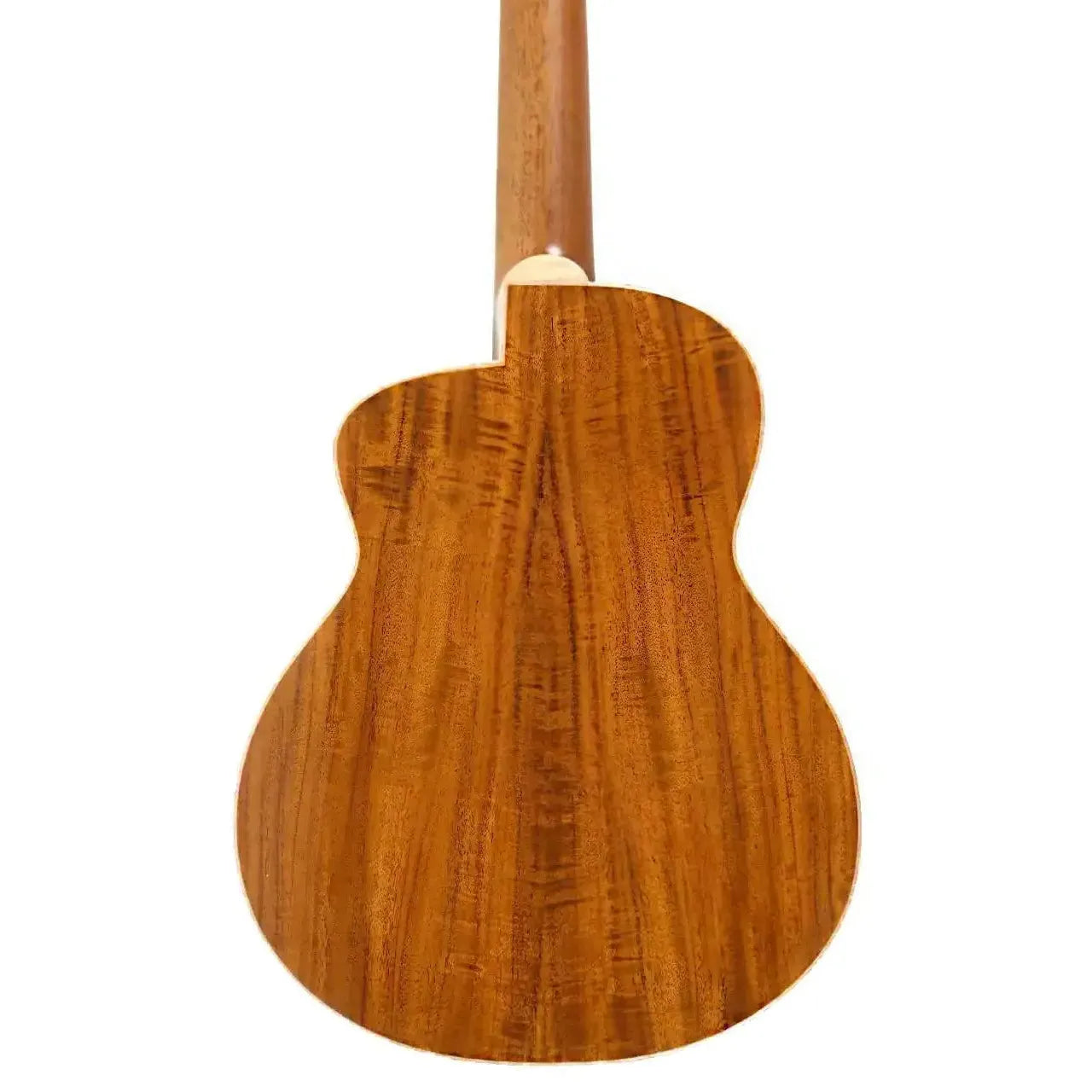 UT188_MB_5 | Terry Carter Music Store
