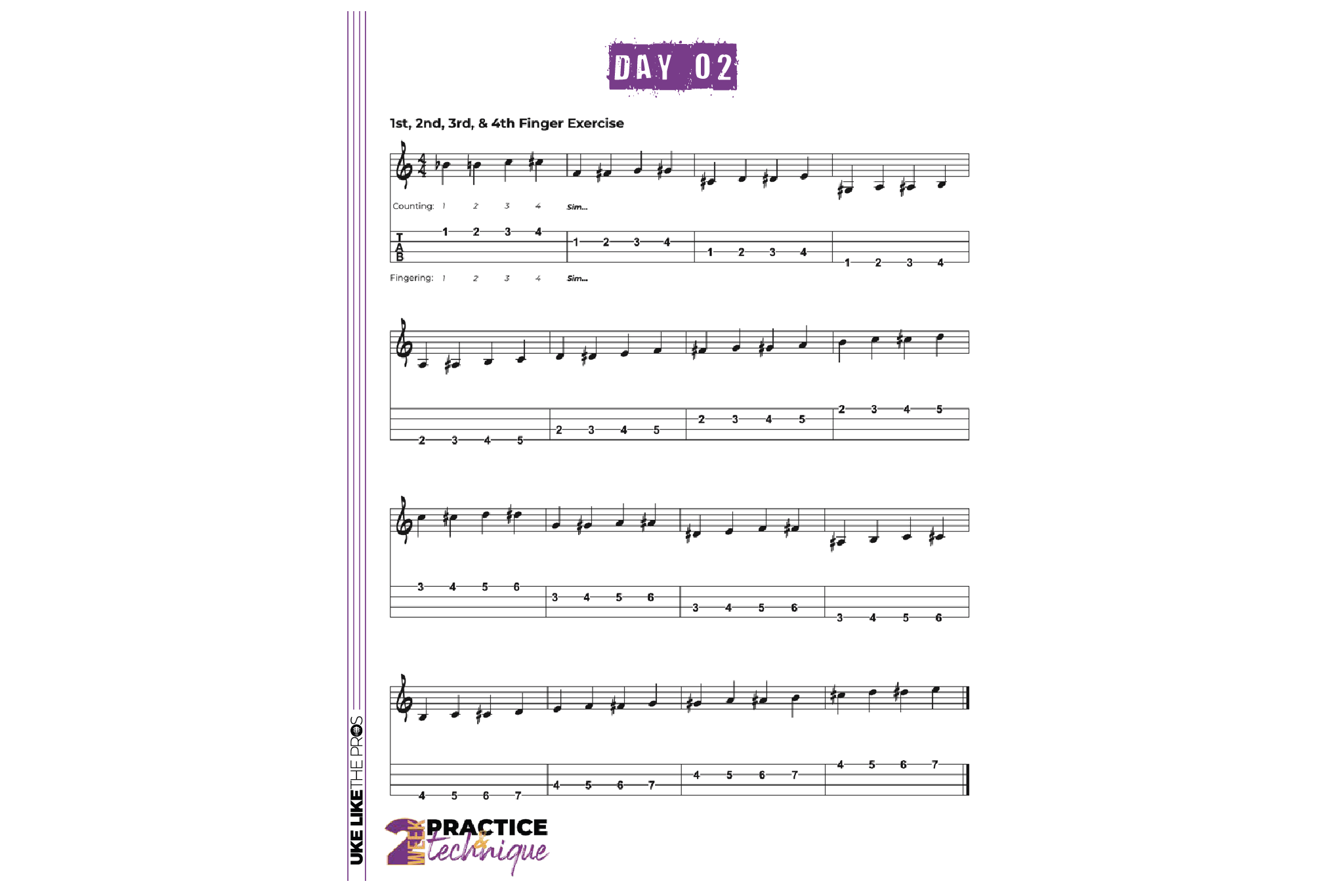 Ukulele Practice & Technique Bootcamp Course - Uke Like The Pros