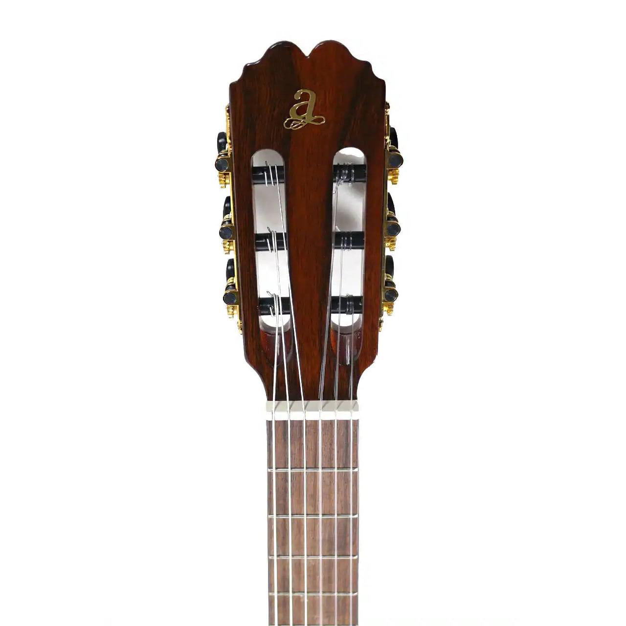 VIRTUOSO_ECTF_2 | Terry Carter Music Store