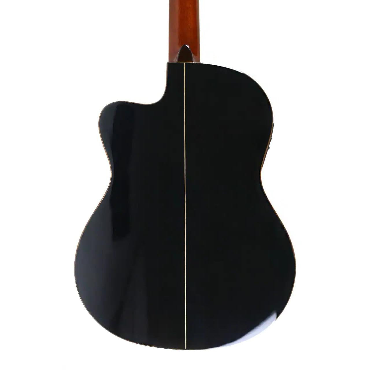 VIRTUOSO_ECTF_3 | Terry Carter Music Store