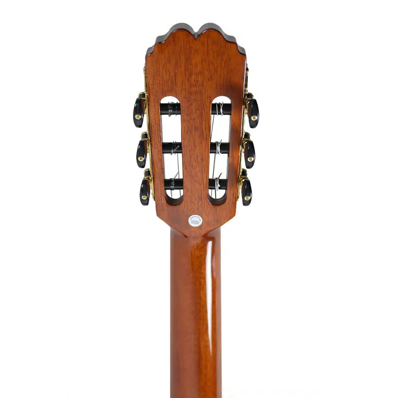 VIRTUOSO_ECTF_4 | Terry Carter Music Store