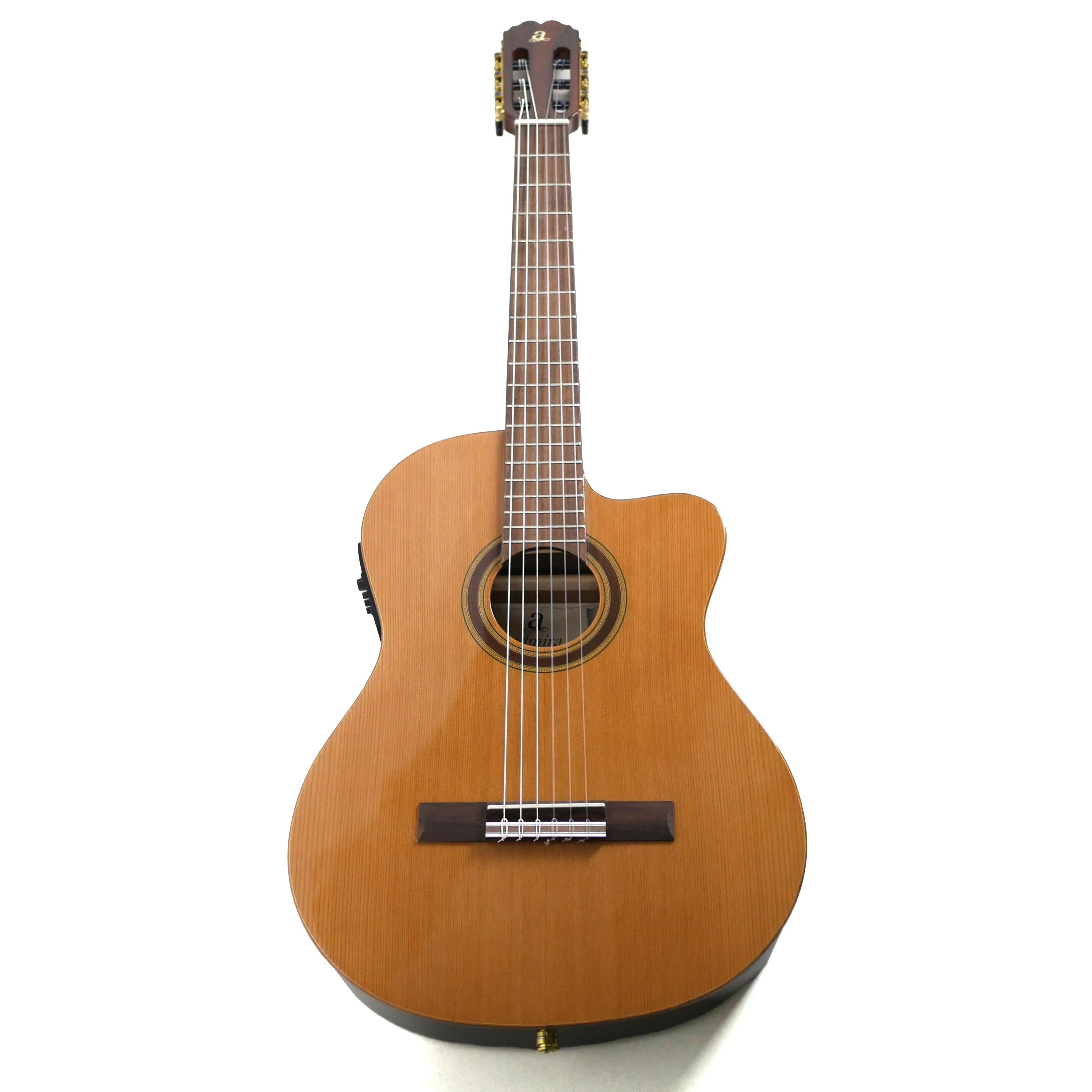 VIRTUOSO_ECTF_5 | Terry Carter Music Store