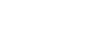 Vosta Strings