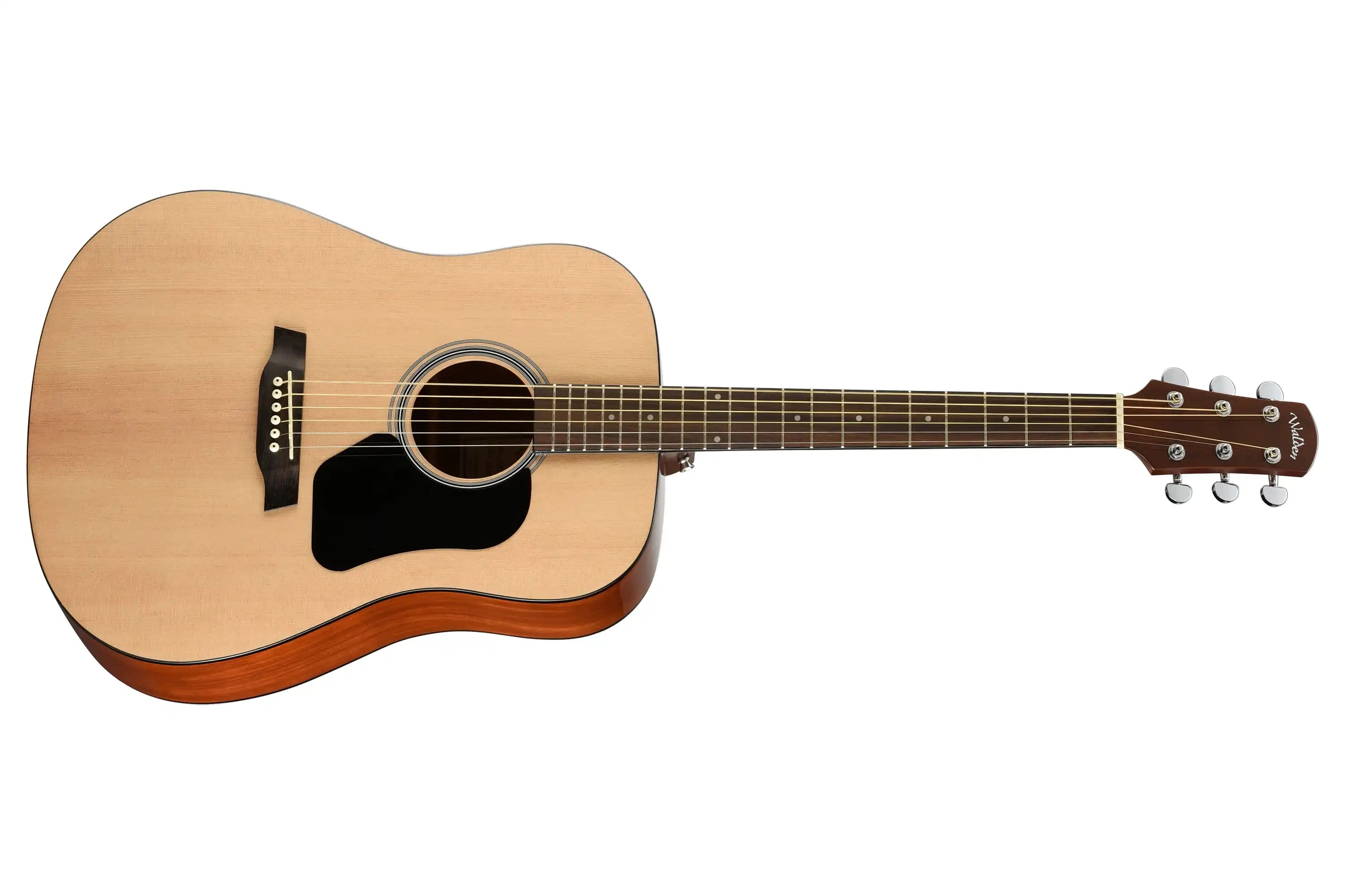 Walden-D350-Acoustic-Guitar1 | Terry Carter Music Store