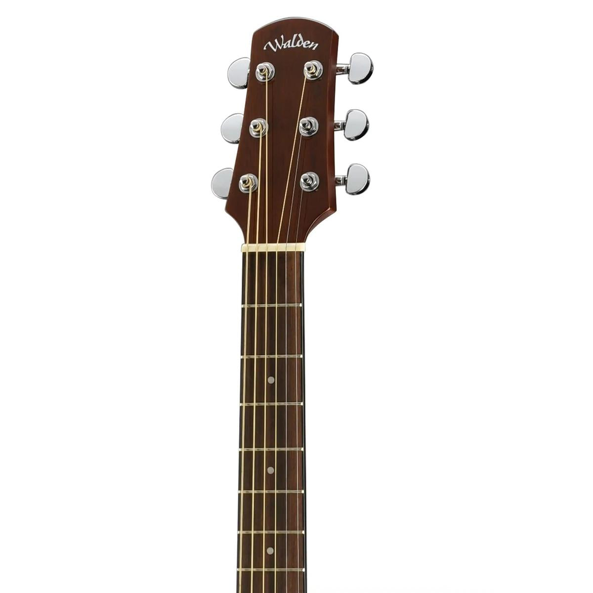 Walden-D350-Acoustic-Guitar3 | Terry Carter Music Store