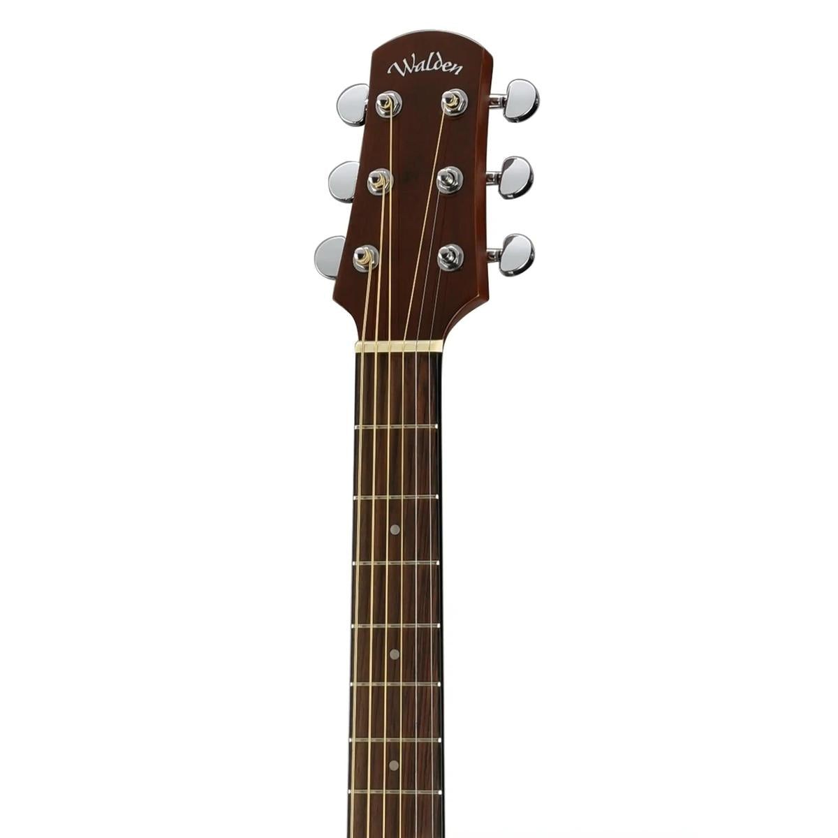 Walden-D450-Acoustic-Guitar6 | Terry Carter Music Store