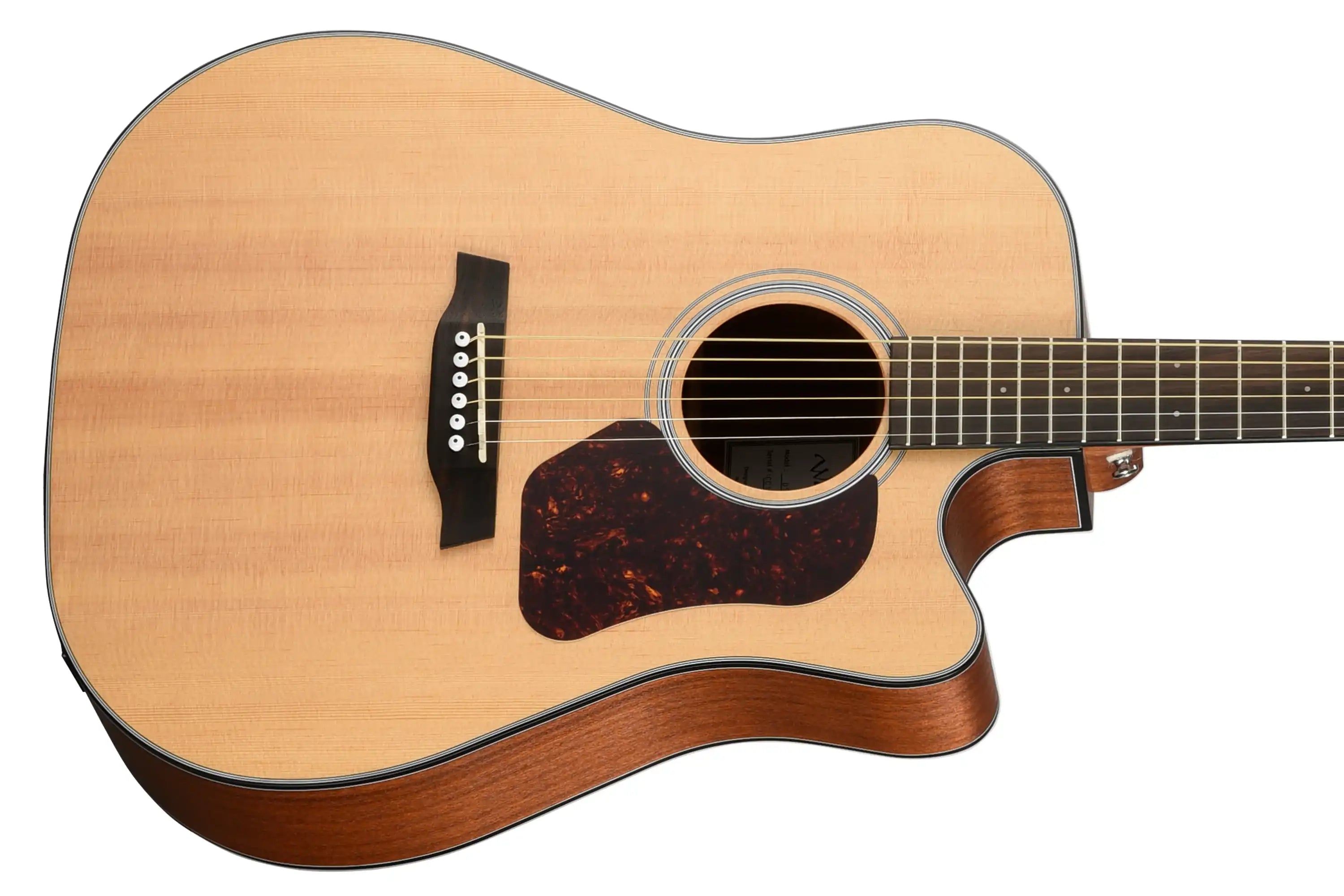 Walden-D550CE-Dreadnought-Guitar2 | Terry Carter Music Store