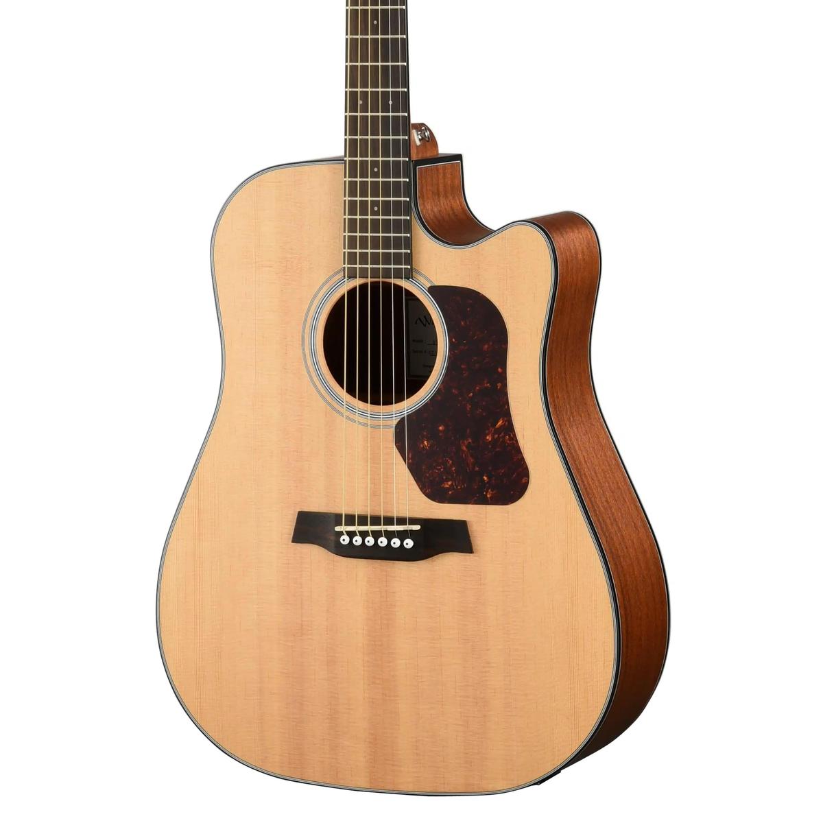 Walden-D550CE-Dreadnought-Guitar2 | Terry Carter Music Store