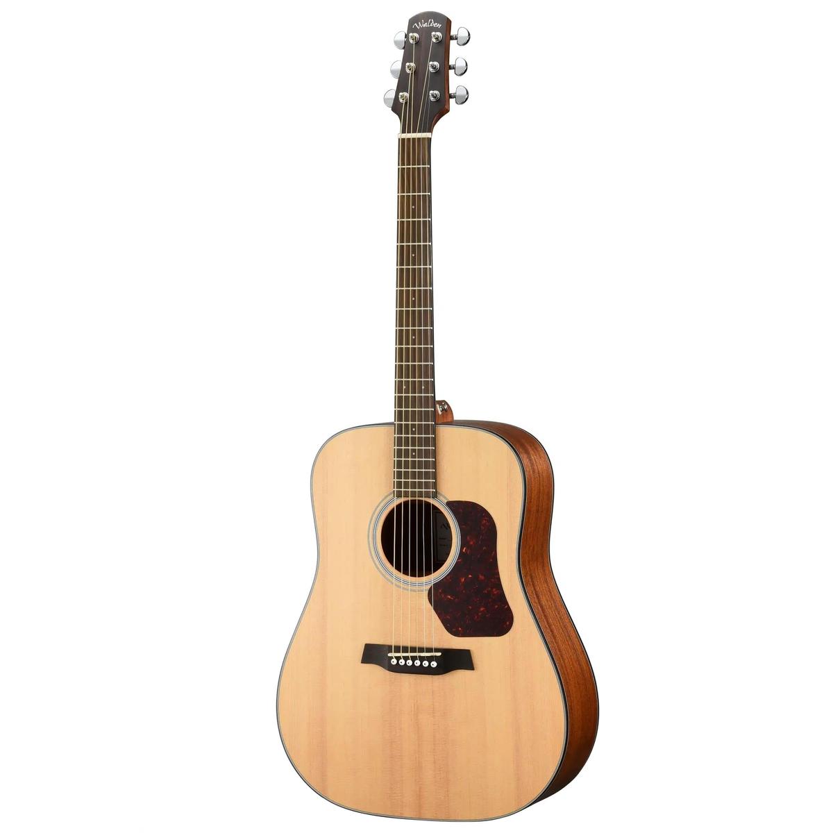 Walden-D550E-Dreadnought-Guitar1 | Terry Carter Music Store