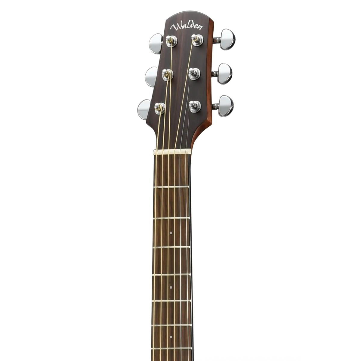 Walden-D550E-Dreadnought-Guitar3 | Terry Carter Music Store