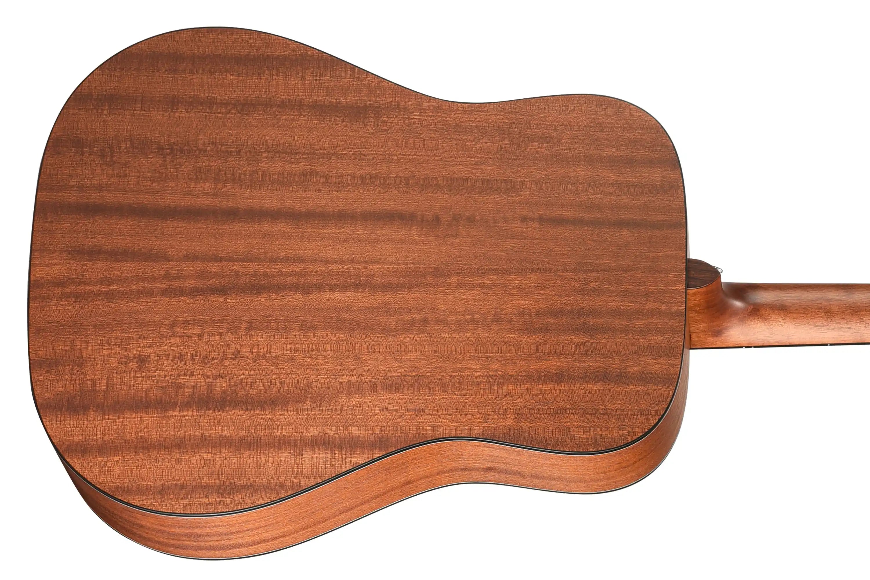 Walden-D550E-Dreadnought-Guitar5 | Terry Carter Music Store