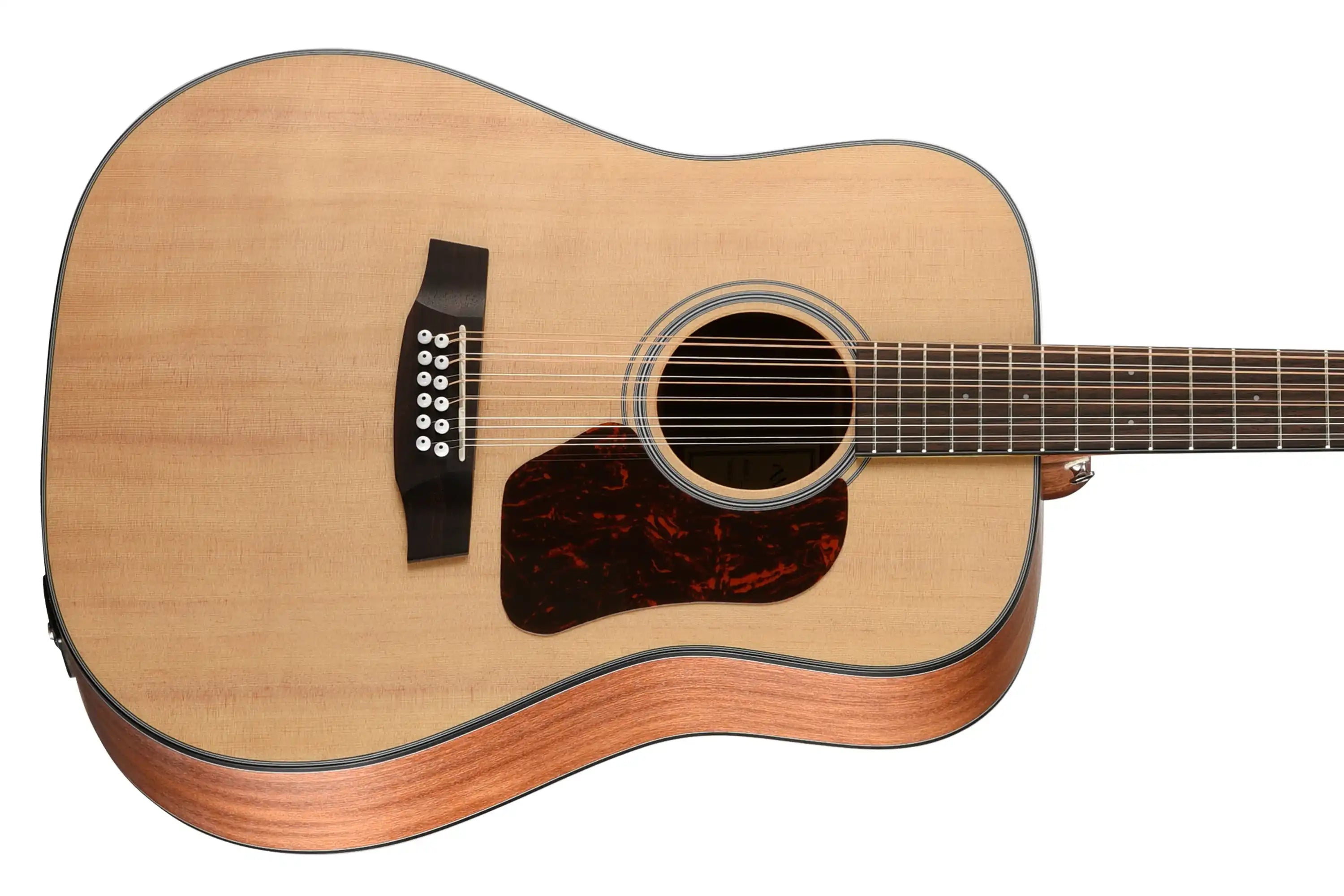 Walden-D552E-12-String-Guitar2 | Terry Carter Music Store
