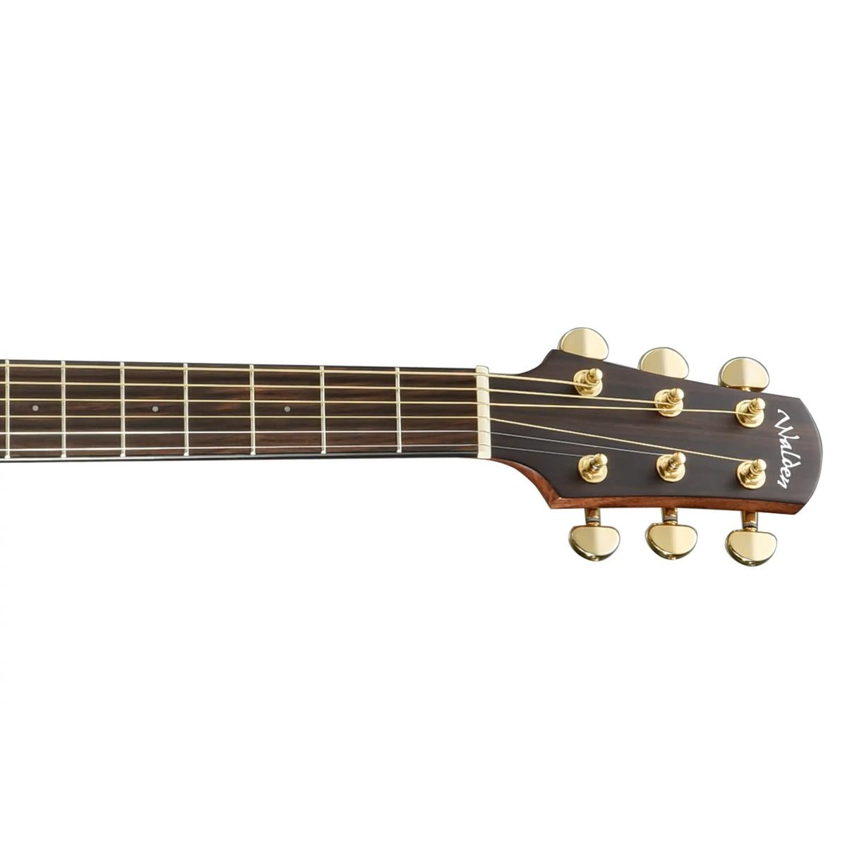 Walden-D600CE-Dreadnought-Guitar3 | Terry Carter Music Store