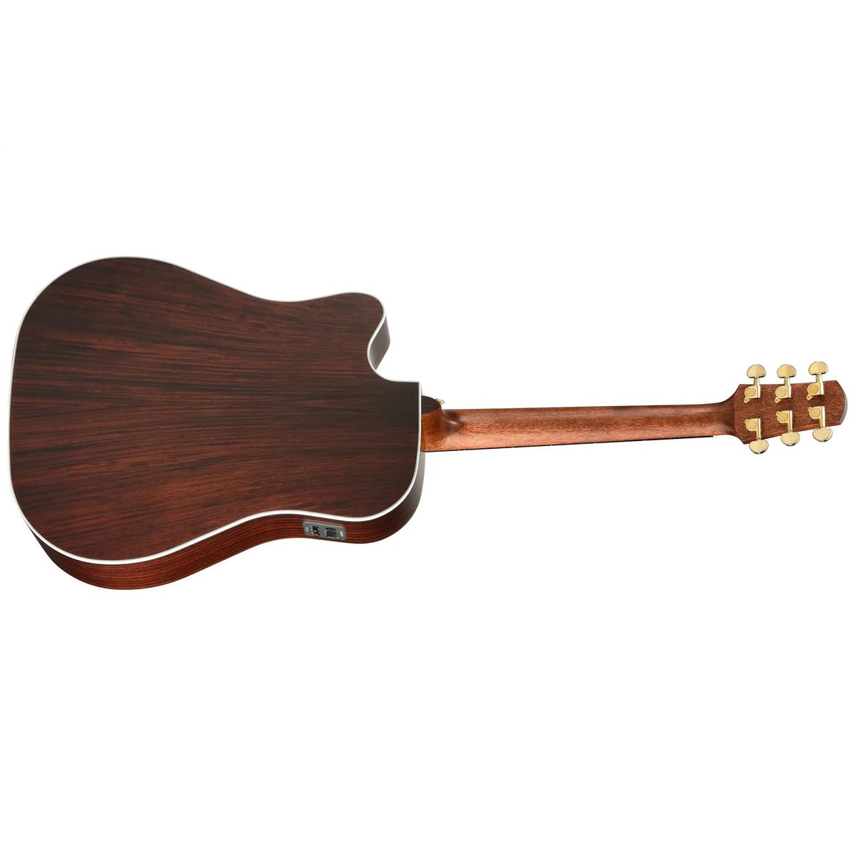 Walden-D600CE-Dreadnought-Guitar4 | Terry Carter Music Store
