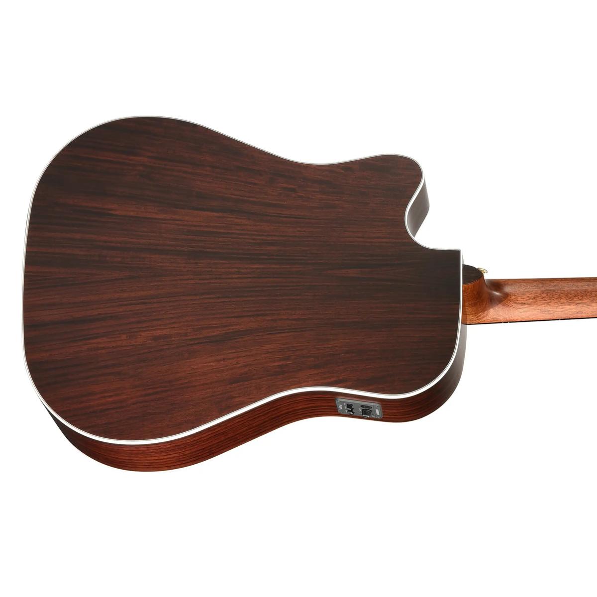 Walden-D600CE-Dreadnought-Guitar5 | Terry Carter Music Store