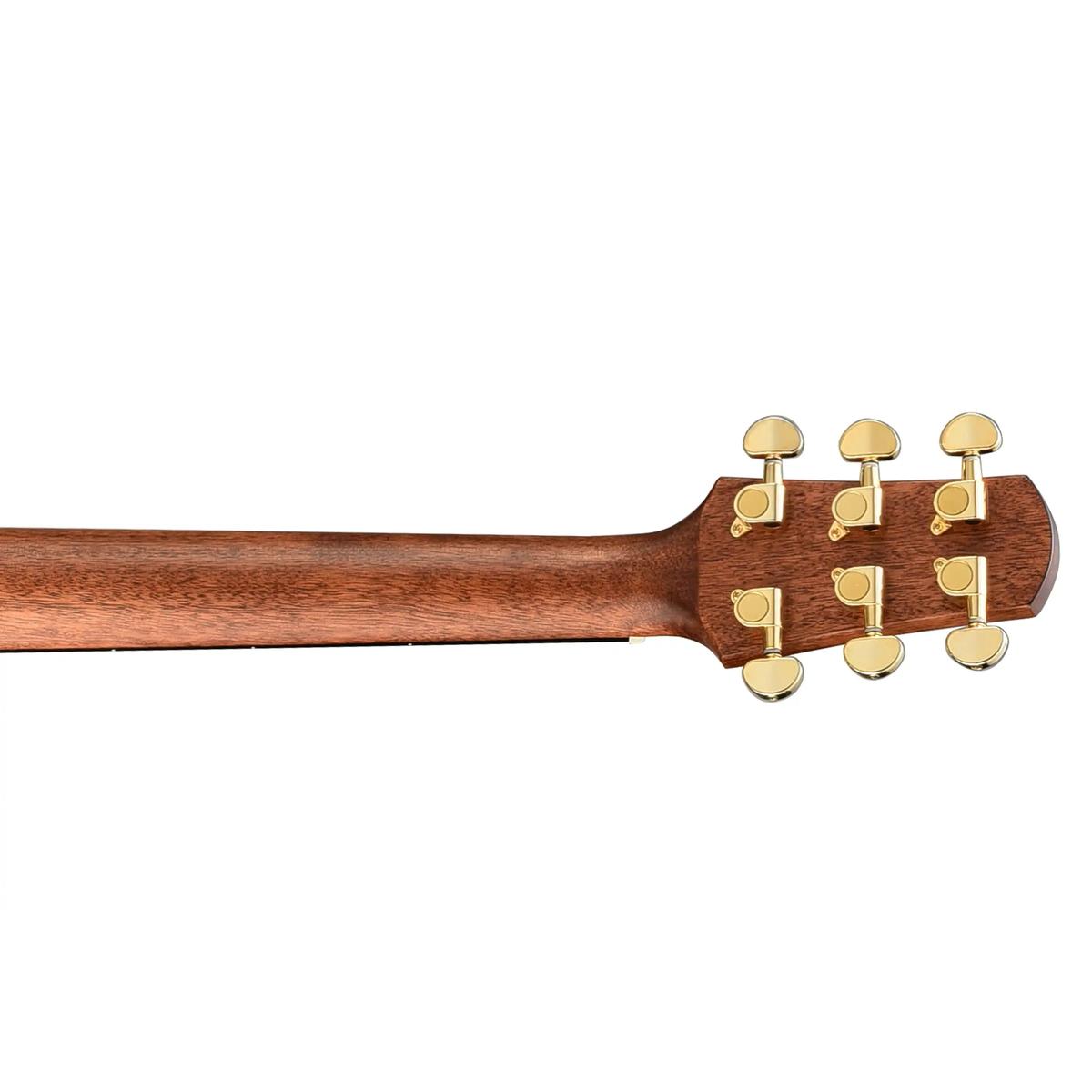 Walden-D600CE-Dreadnought-Guitar6 | Terry Carter Music Store