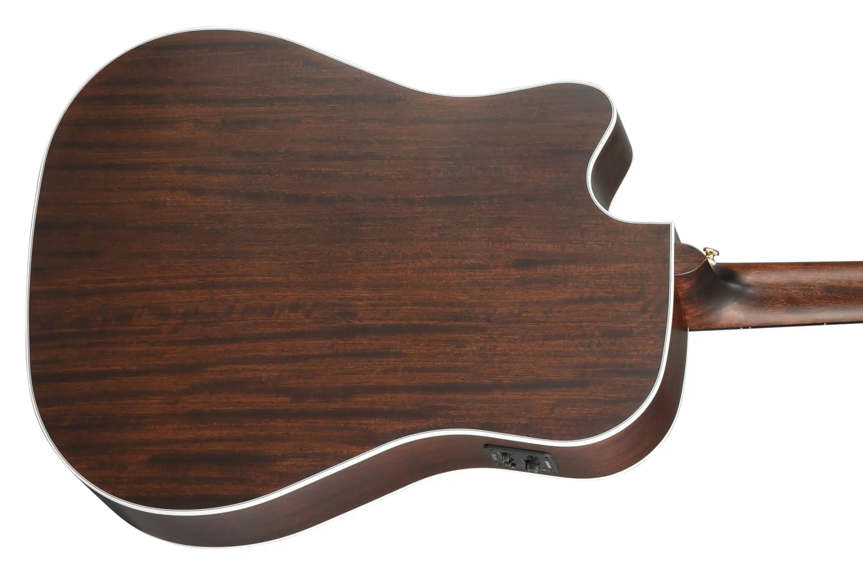 Walden-D603CE-Dreadnought-Guitar2 | Terry Carter Music Store